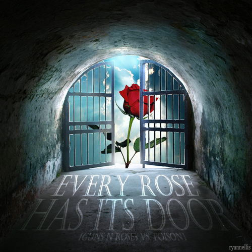 EVERY ROSE HAS ITS THORN LYRIC every rose has its thorn lyric: