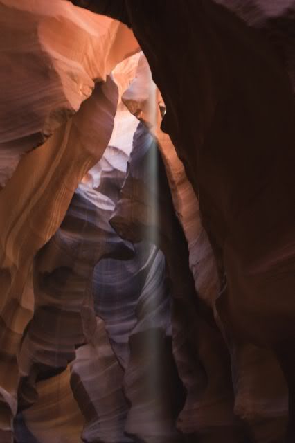 _DSC9272.jpg