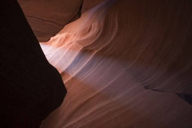 _DSC9342.jpg