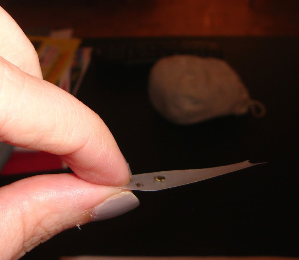 Side View Of Cast Bed Bug Skin? Photo by emilyr017 Photobucket