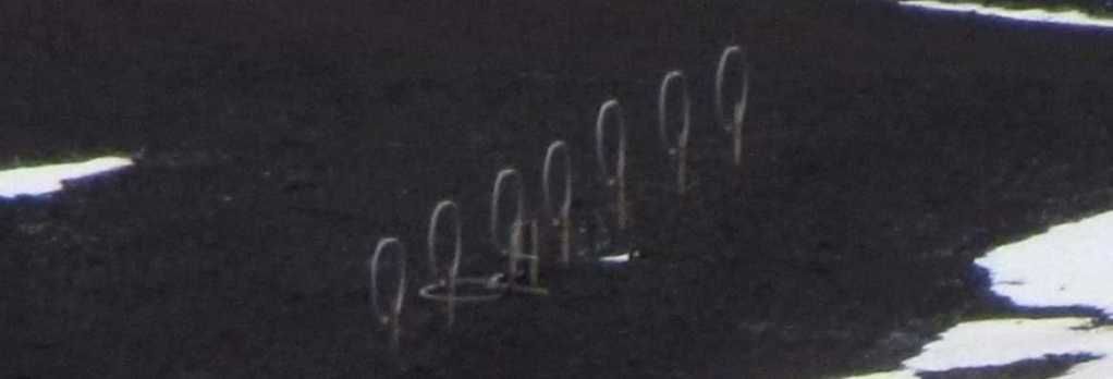 [Image: antenna2.jpg]