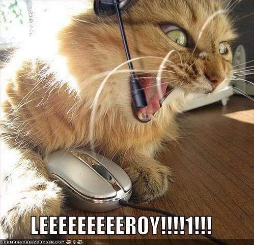 lolcats leeroy picture by