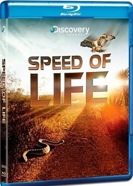 speed Hayatın Hızı Speed Of Life 2010 Bölüm 3 (Türkçe Dublaj) BRRip XViD