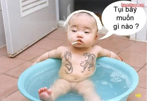 http://i1038.photobucket.com/albums/a467/mrcosvn_entry/Zui%201%20chut/Daicahoanluong/47fce59f_thangnhoc.jpg