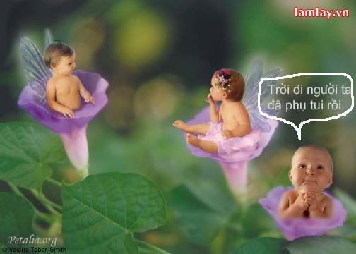 http://i1038.photobucket.com/albums/a467/mrcosvn_entry/Zui%201%20chut/Daicahoanluong/48402030_473688e0_thuc31.jpg