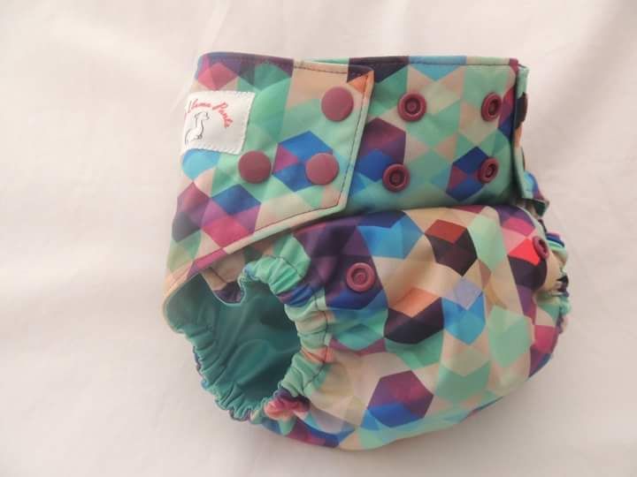 Plum Geo Cover Plum Geo Cover
