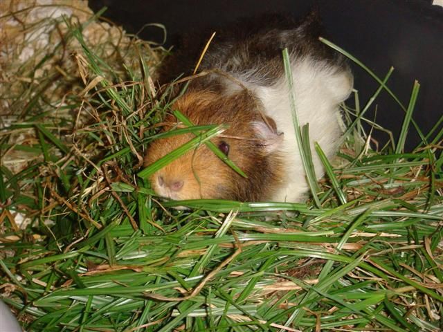 DSC05283Small.jpg